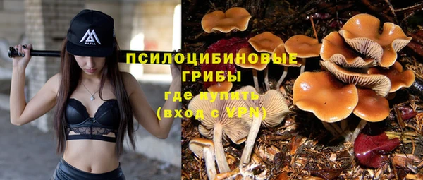 каннабис Дмитриев
