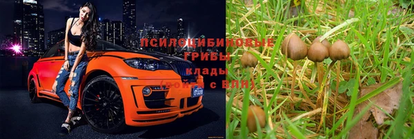 гидропоника Дмитровск